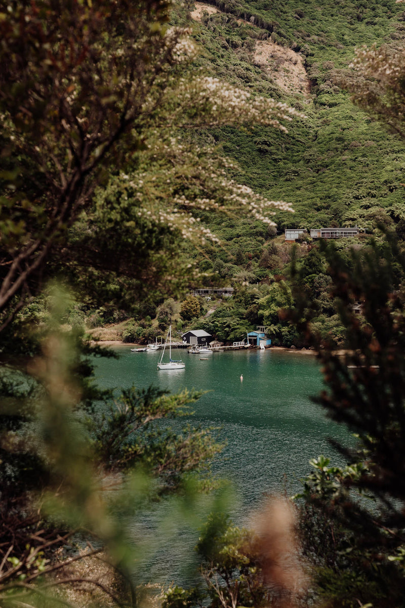 The Magic of Nature Sounds in Nootropic Music